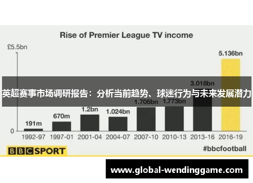 英超赛事市场调研报告：分析当前趋势、球迷行为与未来发展潜力