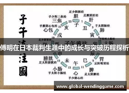 傅明在日本裁判生涯中的成长与突破历程探析