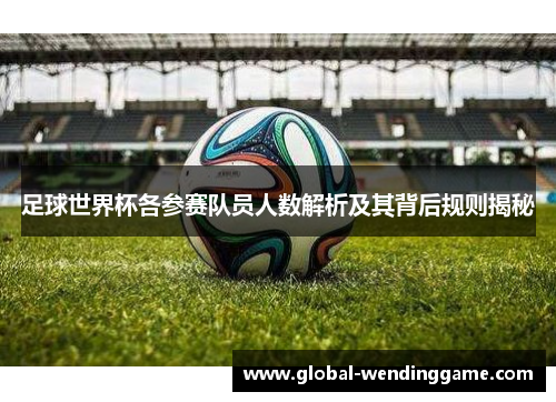 足球世界杯各参赛队员人数解析及其背后规则揭秘