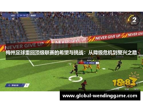 梅州足球重回顶级联赛的希望与挑战：从降级危机到复兴之路
