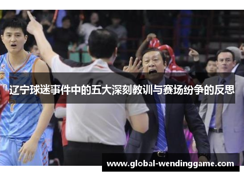 辽宁球迷事件中的五大深刻教训与赛场纷争的反思