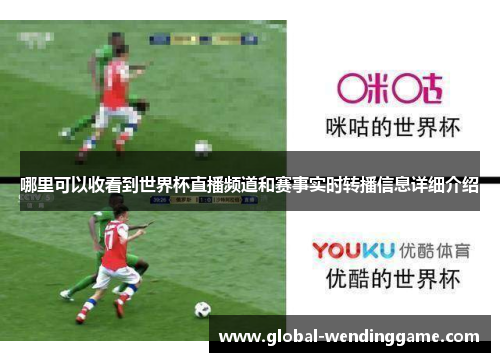 哪里可以收看到世界杯直播频道和赛事实时转播信息详细介绍