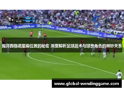 揭开西格诺里踢位置的秘密 深度解析足球战术与球员角色的微妙关系
