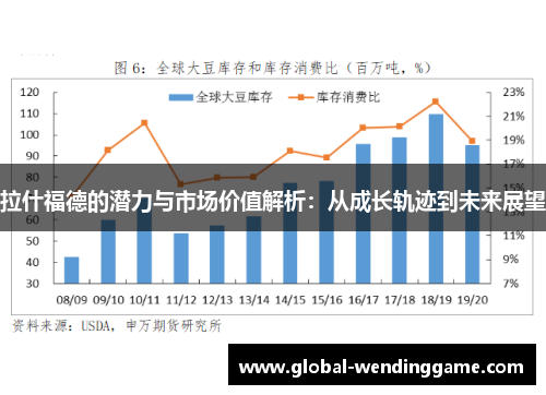 拉什福德的潜力与市场价值解析：从成长轨迹到未来展望