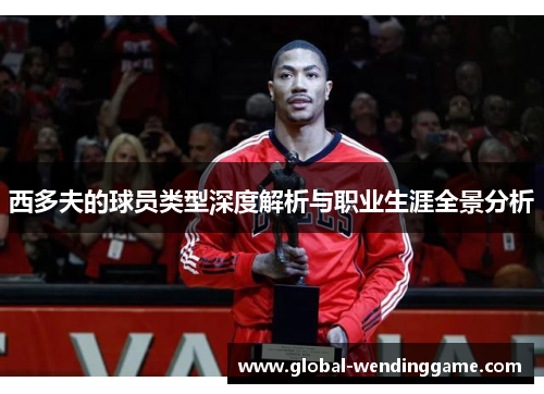 西多夫的球员类型深度解析与职业生涯全景分析